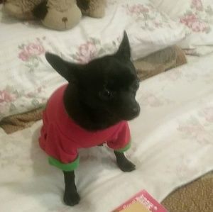 Meet your Posher, Jeannie